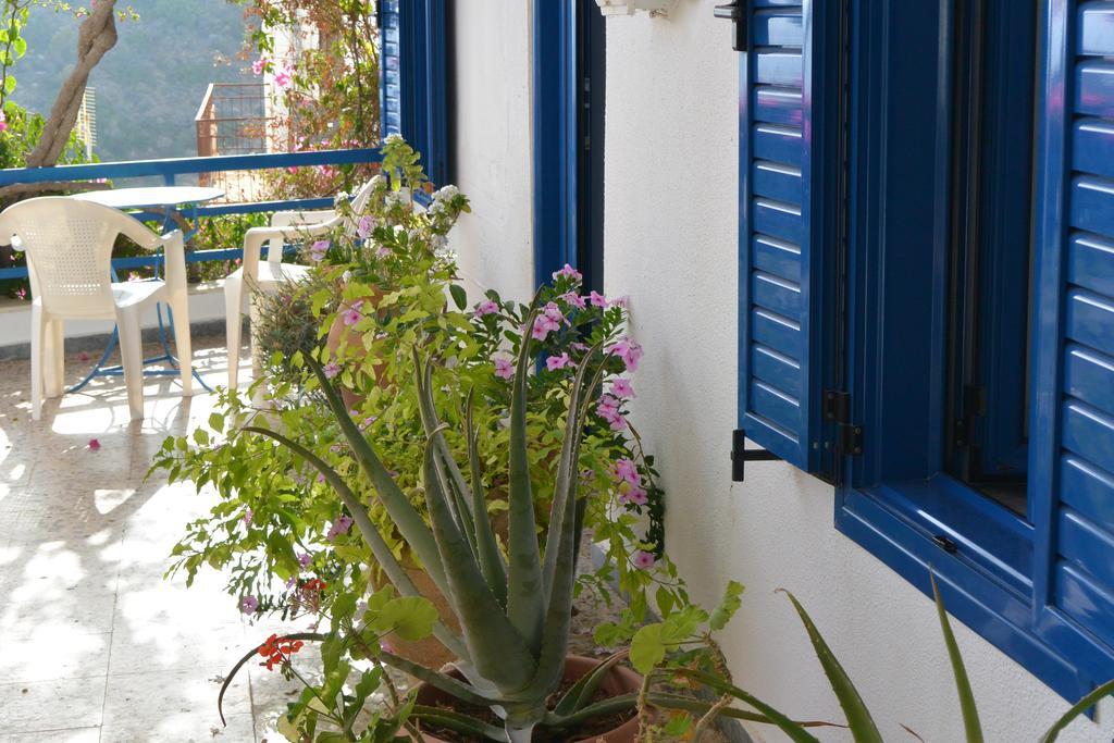 Hotel Hariklia Агиа Галини Экстерьер фото